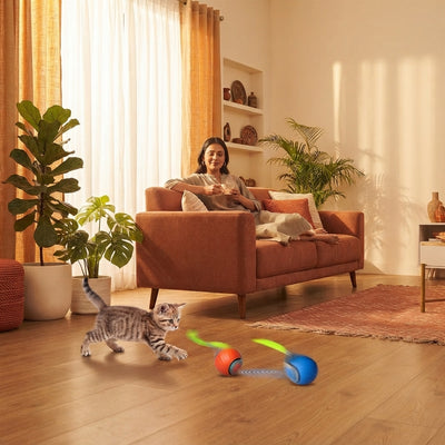 A South Asian woman relaxing on a sofa while her cat plays with a rolling ball toy on a bright, modern living room floor.