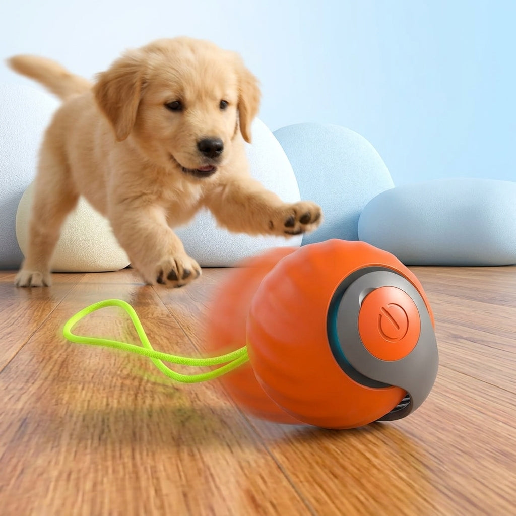 Rolling Ball Dog & Cat  Toy