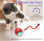 Automatic Rolling Ball Toy for Cats